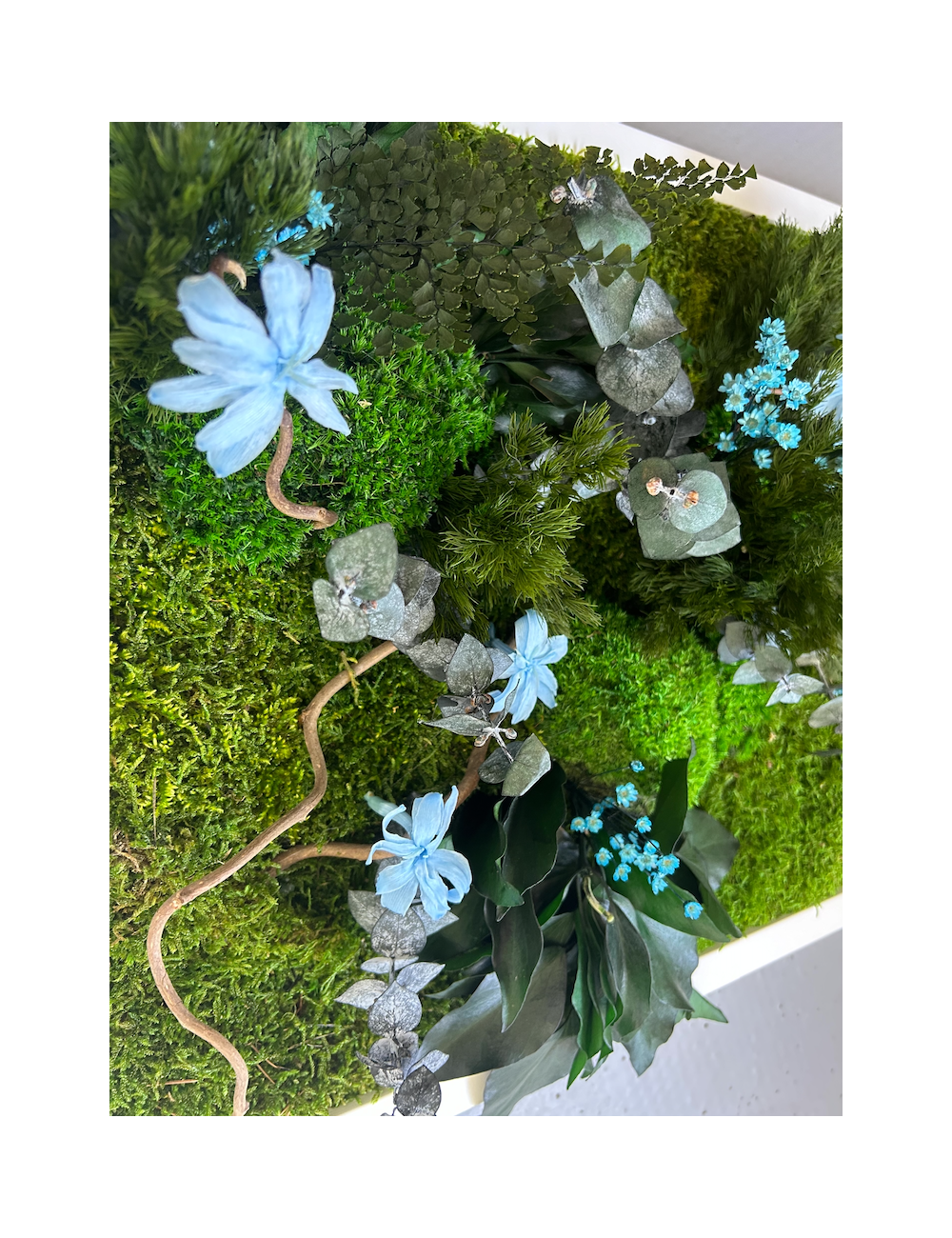 Tableau végétal avec végétaux verts et bleus