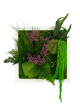 Tableau végétal stabilisé avec feuillages violets