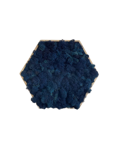 Hexagone en lichen bleu