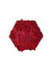 Hexagone en lichen rouge