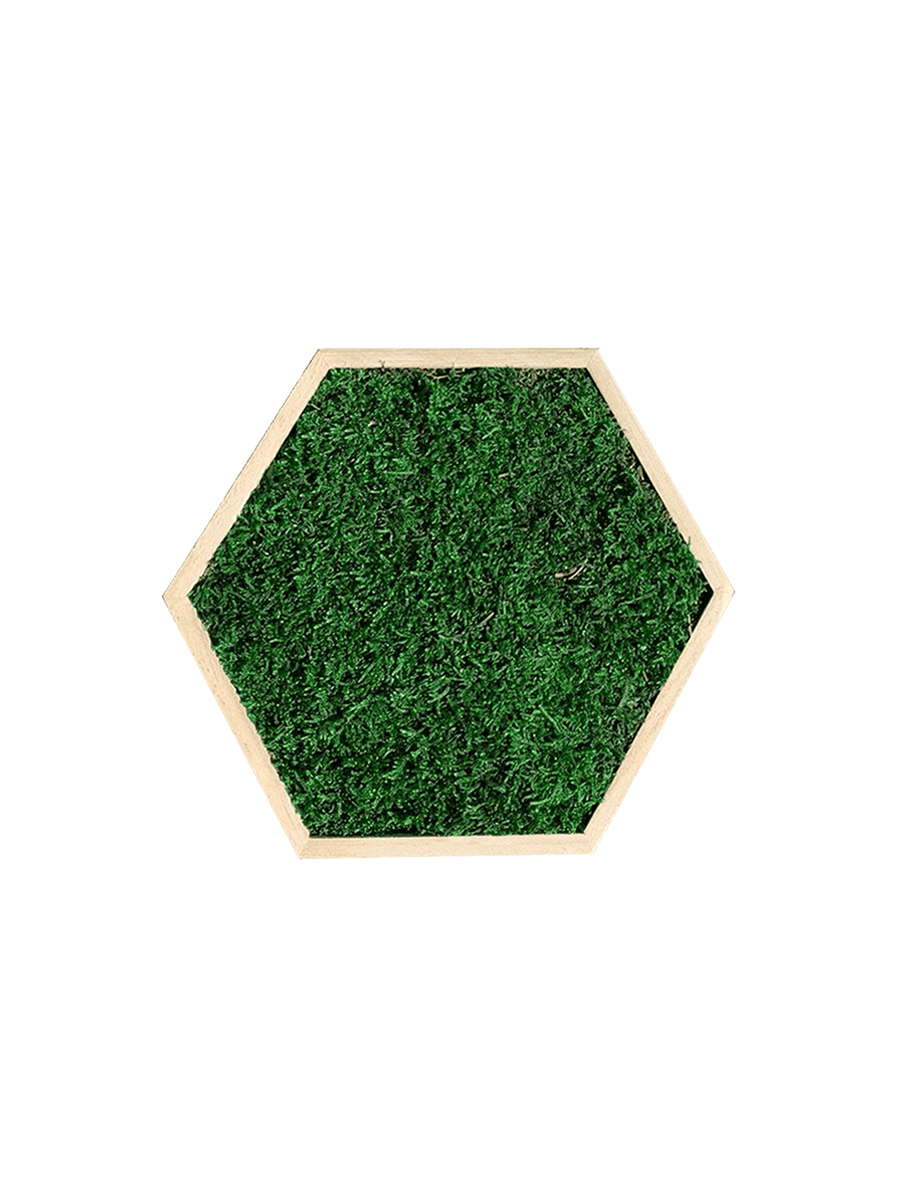 Hexagone en mousse plate vert foncée