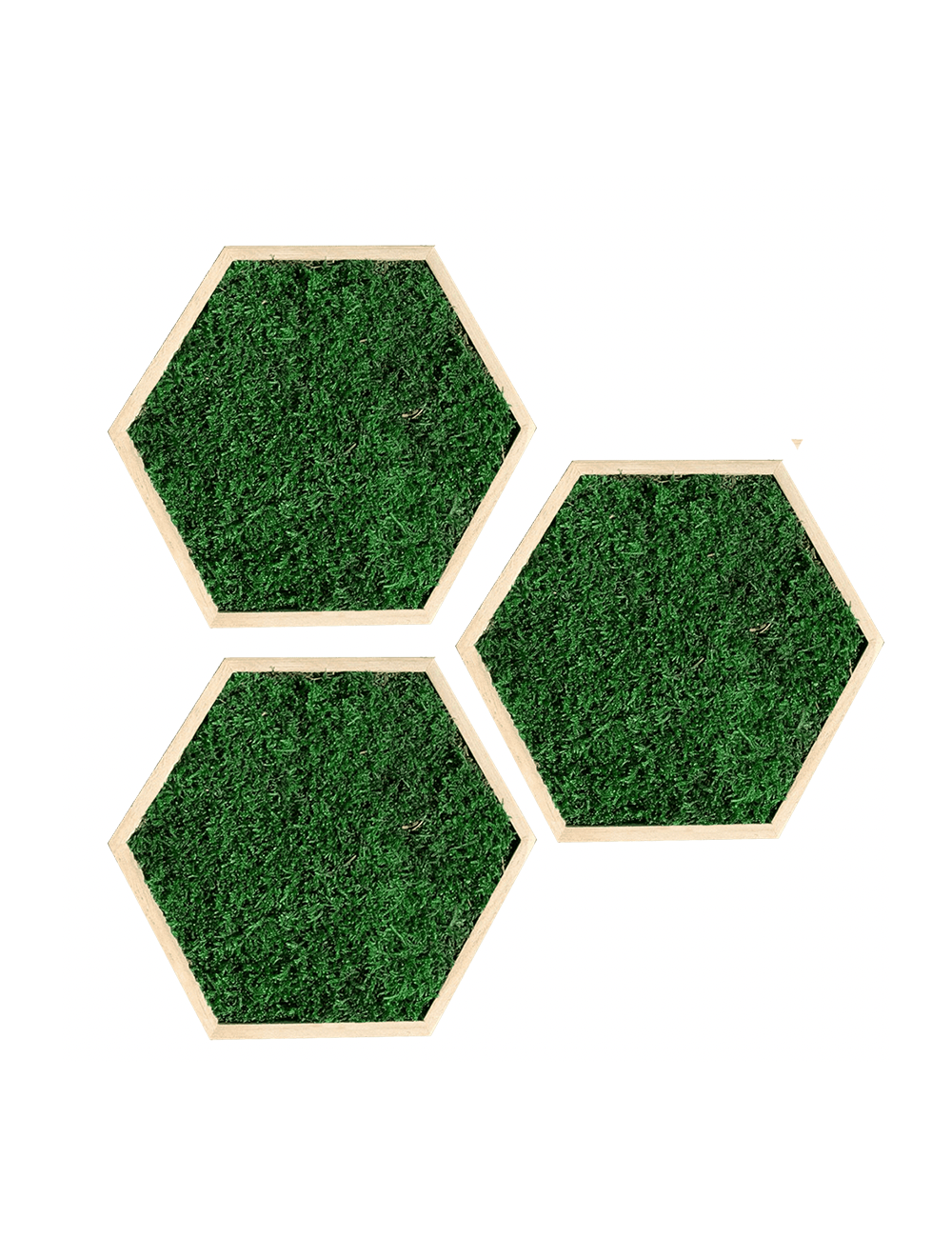 Hexagone en mousse plate verte foncée
