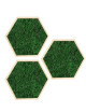 Hexagone en mousse plate verte foncée