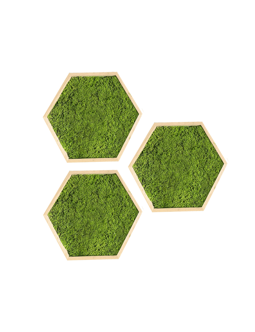 Hexagone en mousse plate verte claire