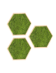 Hexagone en mousse plate verte claire