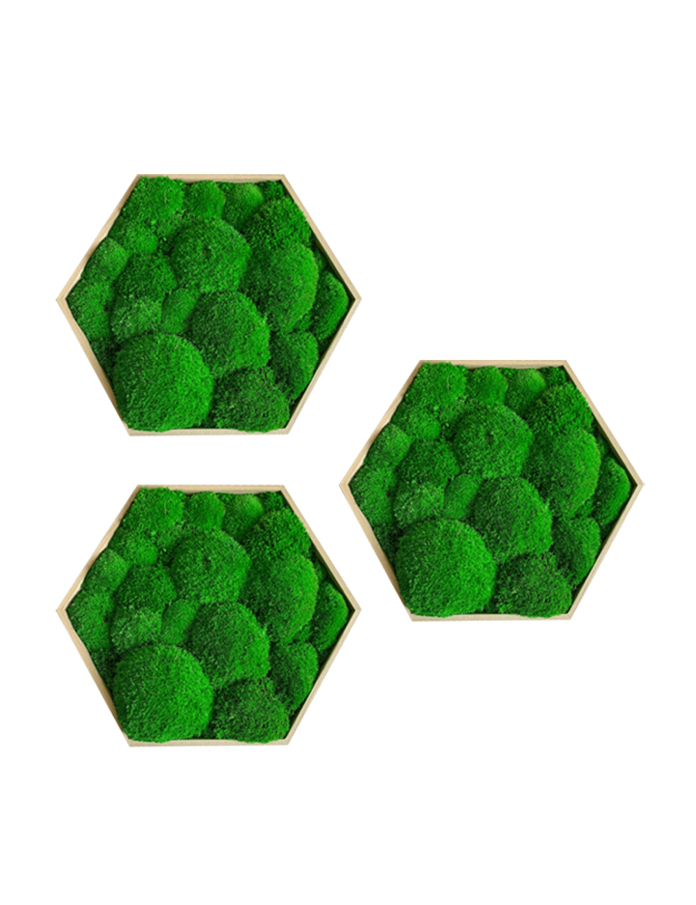 Hexagone en mousse boule verte