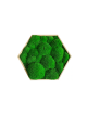 Hexagone en mousses boules vertes