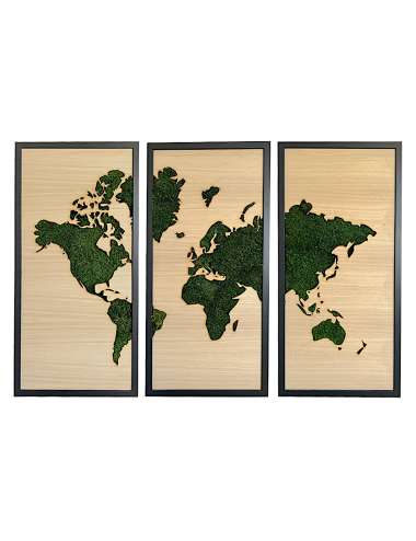 Triptyque végétal avec dessin de la carte du monde