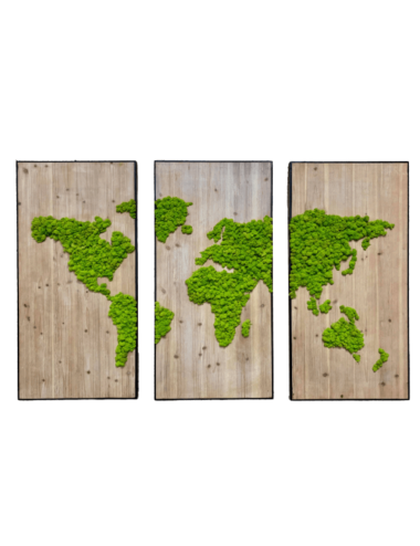 Triptyque végétal avec dessin de la carte du monde