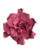 Gardenia stabilisé rose