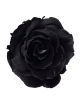 Rose Stabilisée noir
