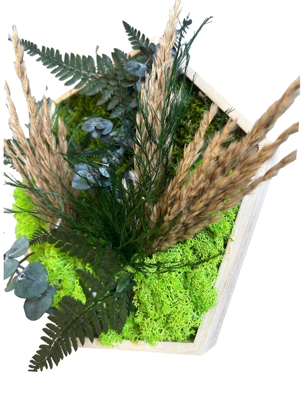 hexagone végétal en relief avec végétaux verts