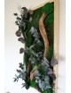 Tableau végétal avec végétaux verts et violets