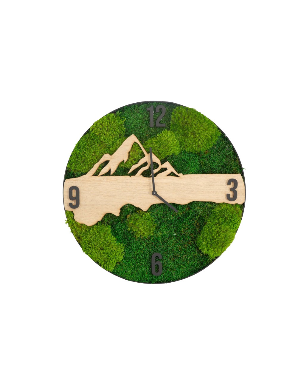 Horloge végétale avec feuillage vert et bois